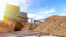 The report highlights the potential environmental impact of scaling up biomass supply chains